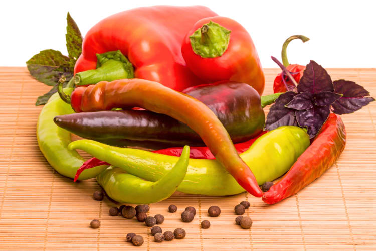 Differnt types of peppers including Jalapeño Peppers, Serrano peppers, bell peppers, and pepper corn. 