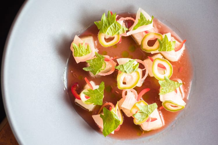 Kampachi crudo.