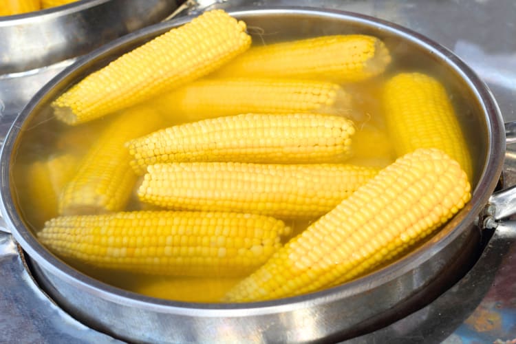 Corn on the cob can be frozen after being cooked in boiling water like this. 
