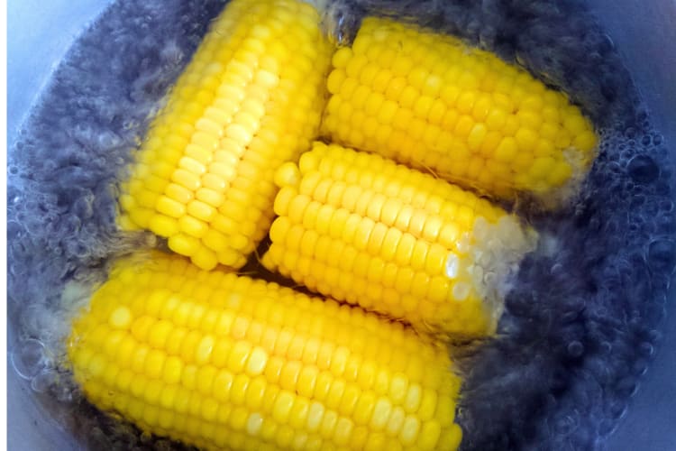 By blanching it in boiling water first you can freeze corn on the cob. 