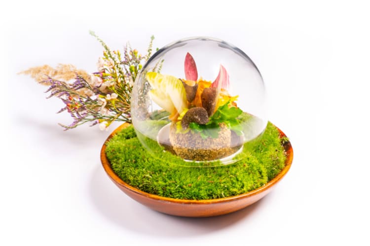 A unique dish that looks like a tree in a dome, but is actually a turnip-like dish found at this Michelin star restaurant in London.  
