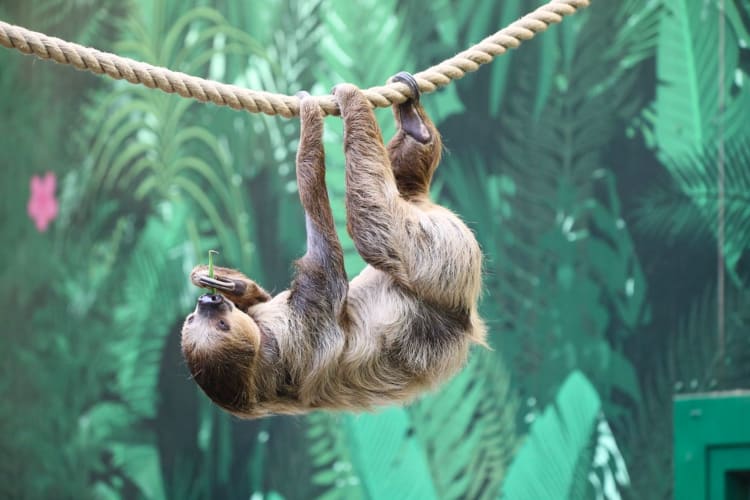 date ideas edinburgh. Edinburgh zoo
