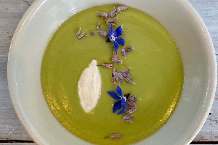 Top-view shot of a green soup with garnish from one of the best Michelin star restaurants in the USA called Bacchanalia