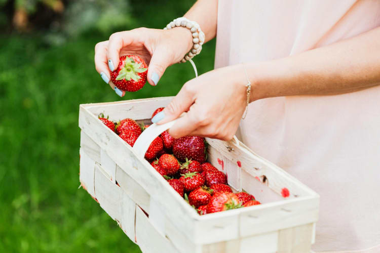 A person holding a basket fresh strawberries