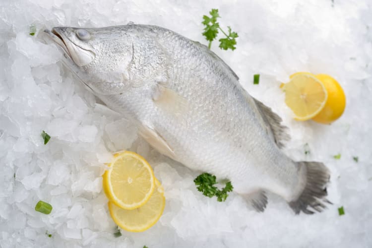 A whole barramundi fish laid on ice.