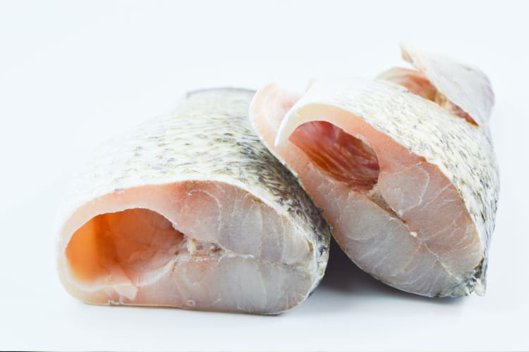 Two pieces of uncooked barramundi, ready for preparation.