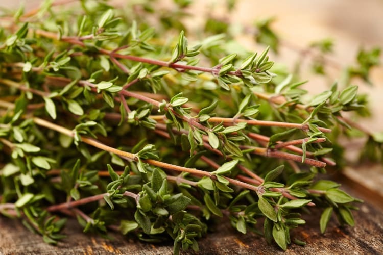 Sprigs of thyme