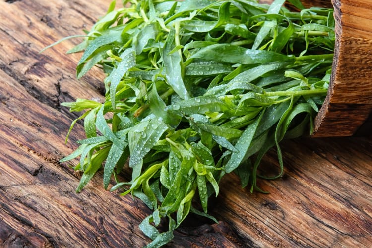Tarragon is a good basil substitute for chicken dishes