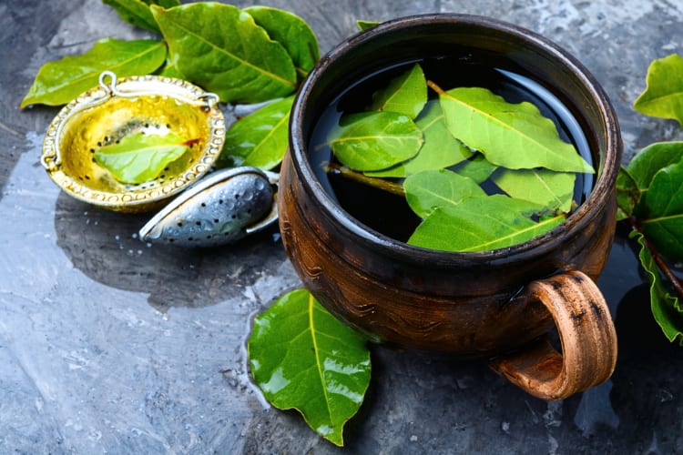 Tea with bay leaves, surrounded by more bay leaves