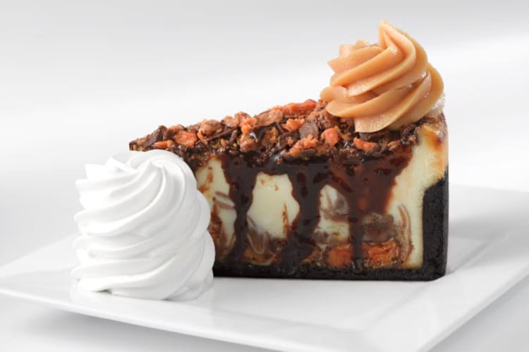 A slice of peanut butter cheesecake with fudge sauce