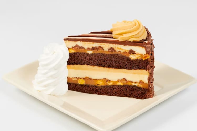 A slice of peanut butter and chocolate cheesecake