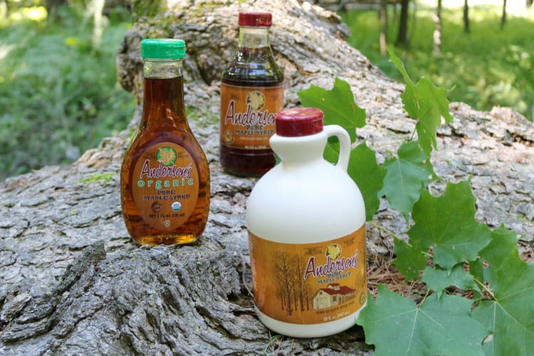 Three types of maple syrup bottles placed on a tree trunk