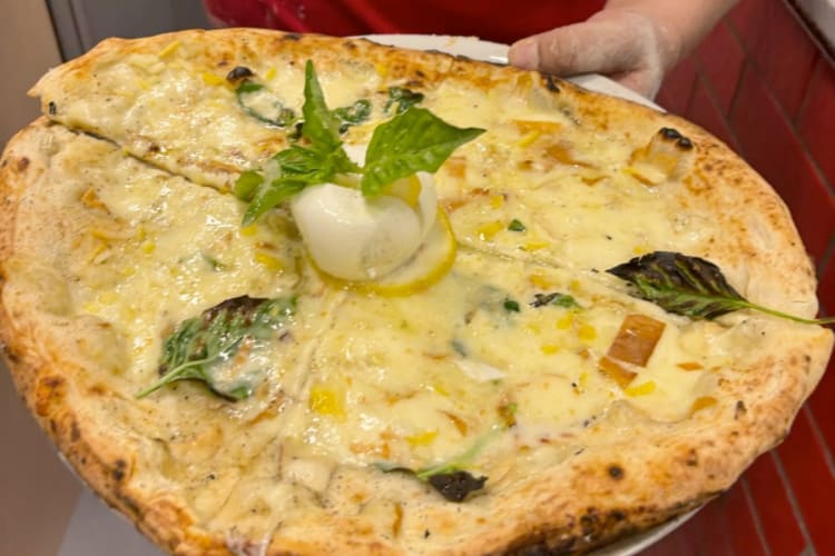 A person holding a white sauce pizza with burrata