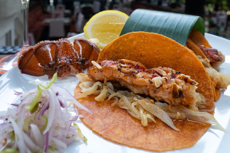 Tacos de langosta at one of the best restaurants in Cancun