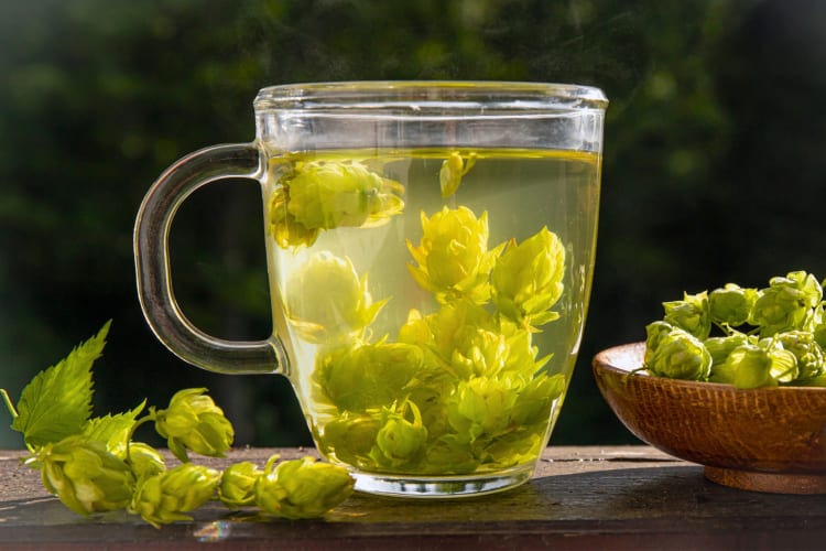 Hops tea is the best tea for sleep if you like unique flavors