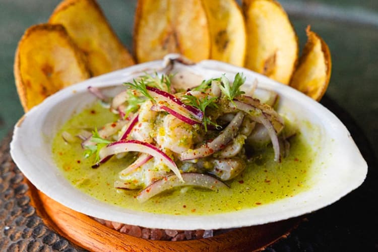 A plate of ceviche next to plantain chips