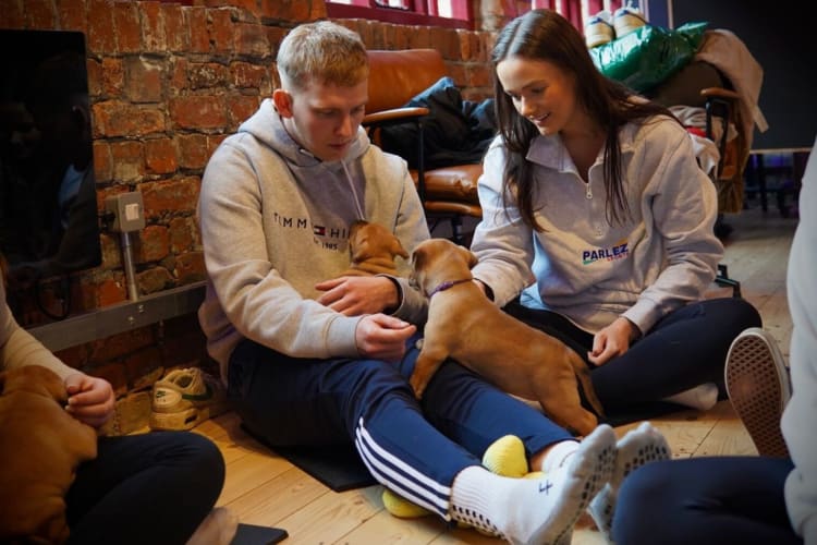 there's nothing like cuddling puppies for a memorable team building activity in birmingham