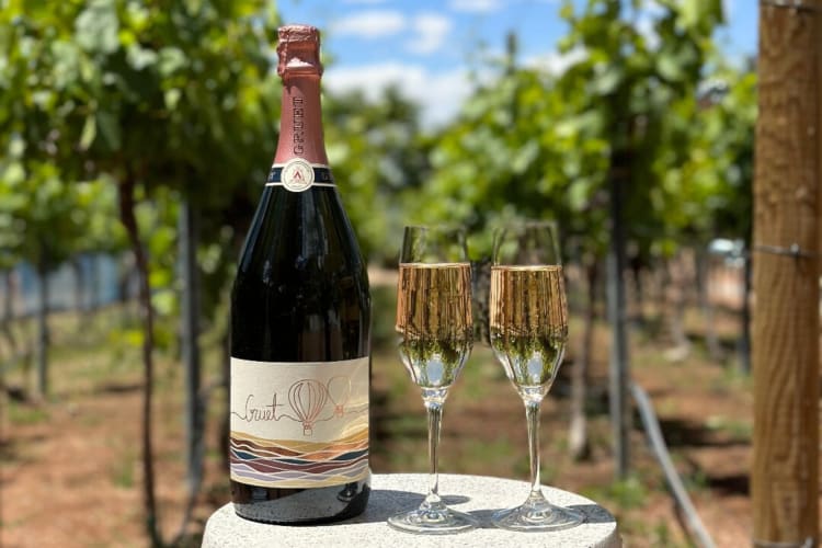 Going to a winery is a fun birthday idea in Albuquerque