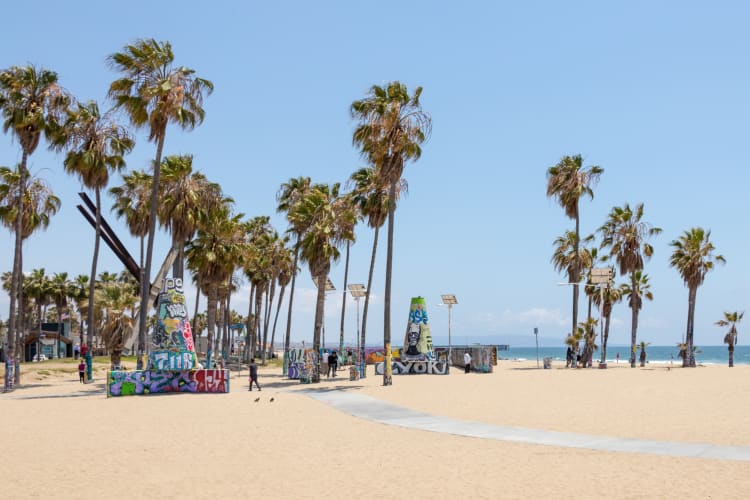 Wandering along the Venice Beach Boardwalk is one of the relaxed birthday ideas in Los Angeles