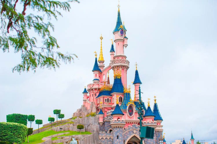 A pink and blue princess castle next to greenery