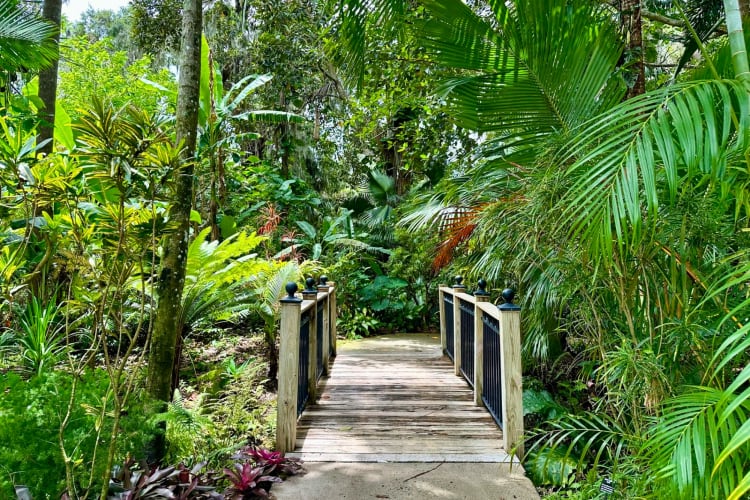 Wandering through botanical gardens is a relaxing birthday idea in Orlando