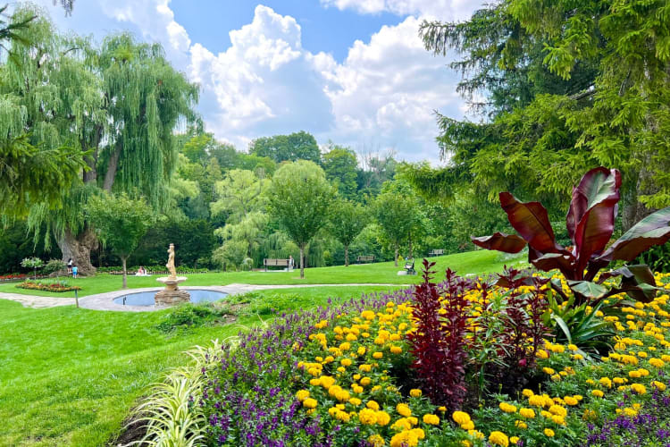 A green garden with colourful flowers and a water feature