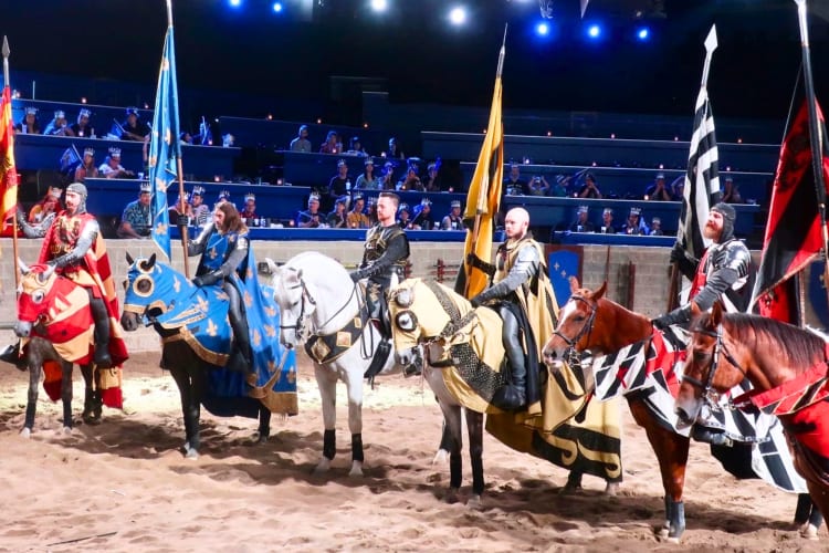 Men on horses in medieval costumes in an arena