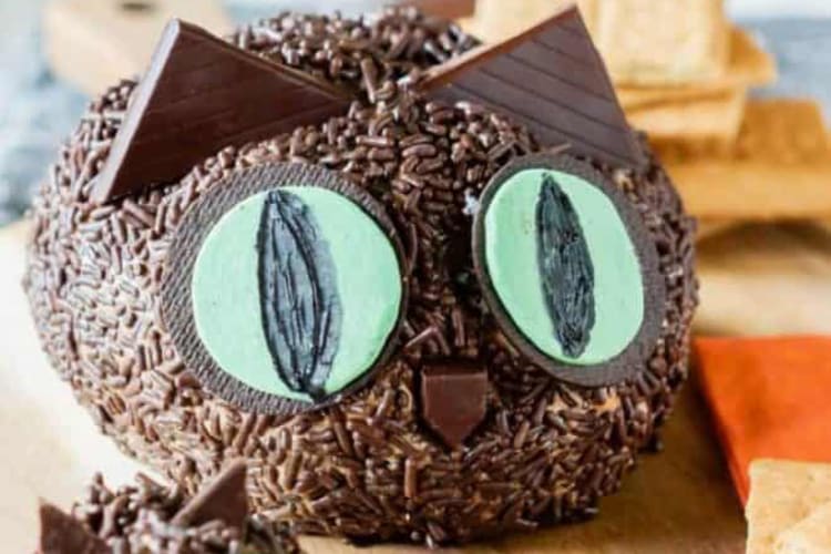 black cat s'mores cheeseball is an adorable halloween dessert