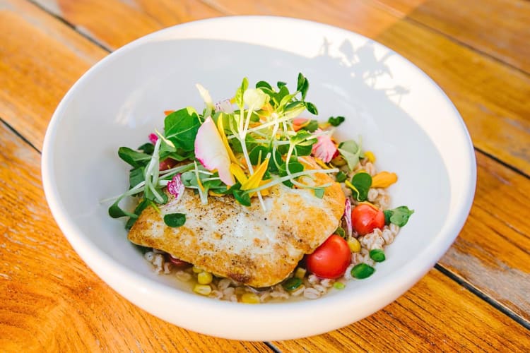 chicken salad with corn and a grain, from Bloom Carneros, a Sonoma restaurant