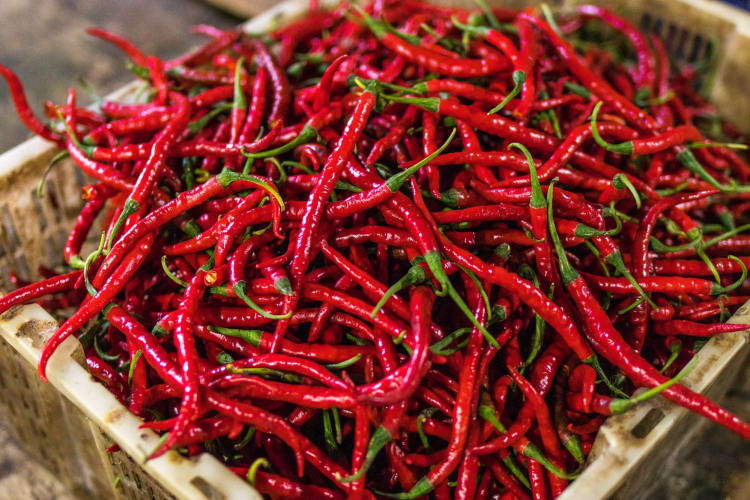 Find Calabrian chilis at your local grocery store or farmers market.