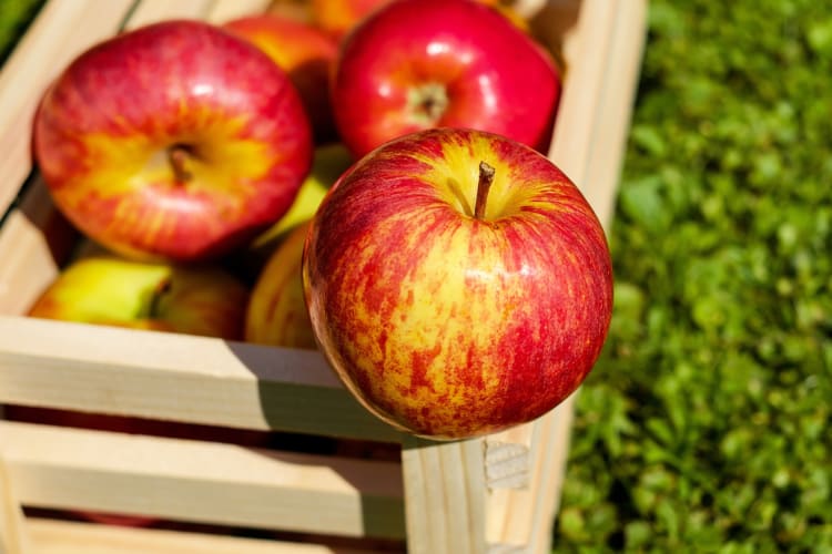 It's helpful to answer: can you freeze apples?