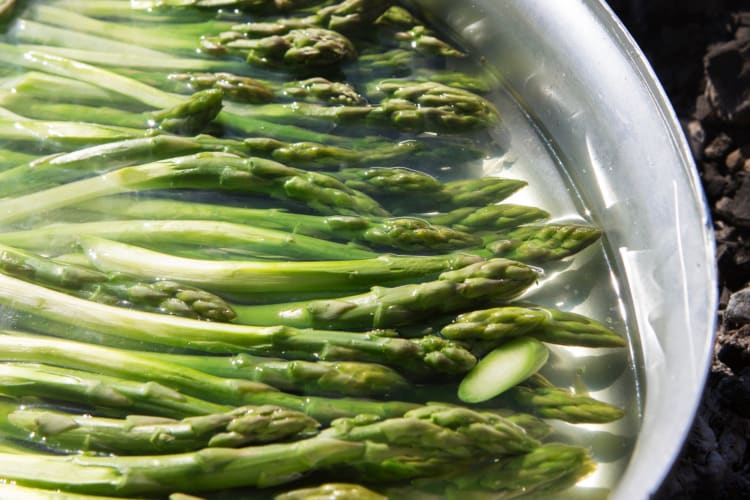 Asparagus in a bowl of water