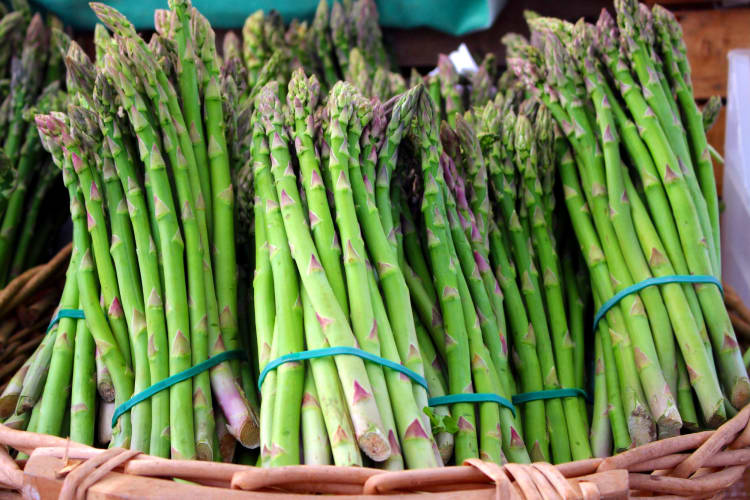 Can you freeze asparagus when it's fresh is a common question