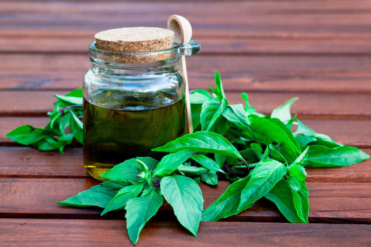 You can freeze basil with olive oil.