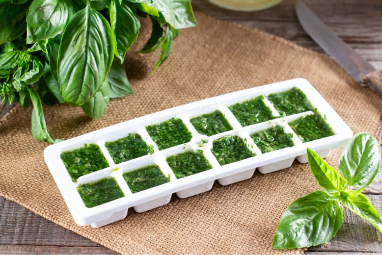 Ice cube trays are a handy way to store your basil for future use.