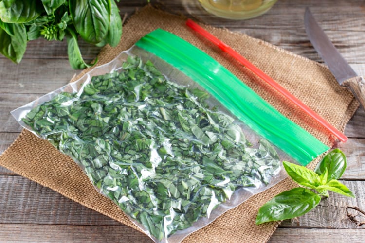 There are a number of ways you can freeze fresh basil.