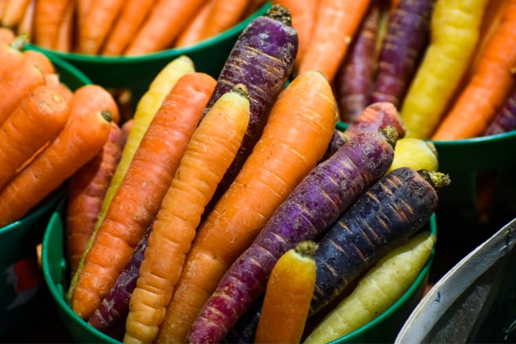 Whole orange and purple carrots