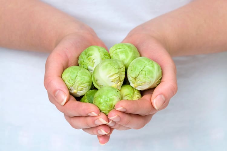 Hands holding raw Brussels sprouts