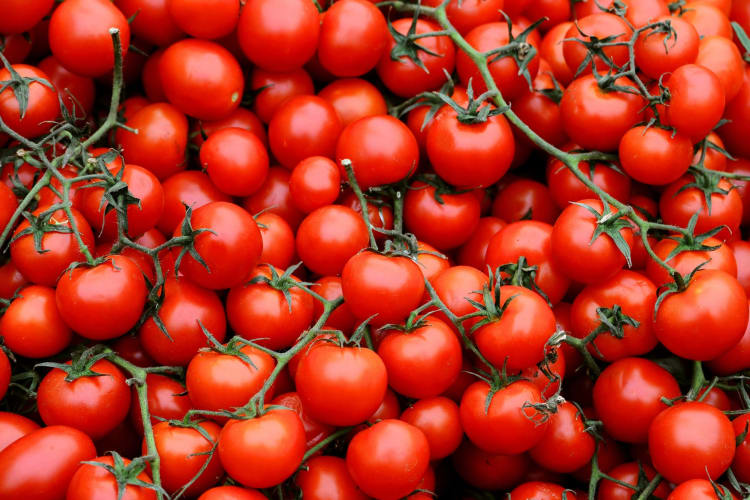 Cherry tomatoes on the vine