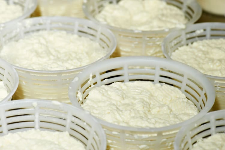 Fresh made ricotta cheese in containers