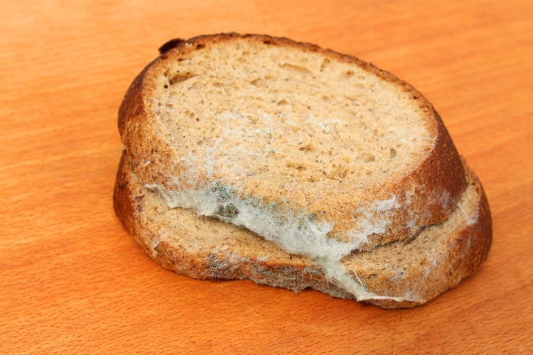 You can freeze bread, but be sure to do so before it reaches its expiration date. Otherwise, mold can start to form.