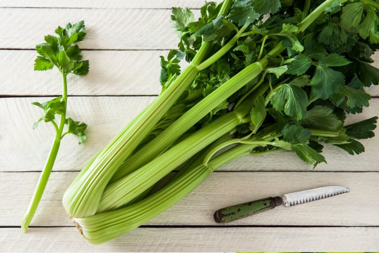 A bunch of celery with a small knife.