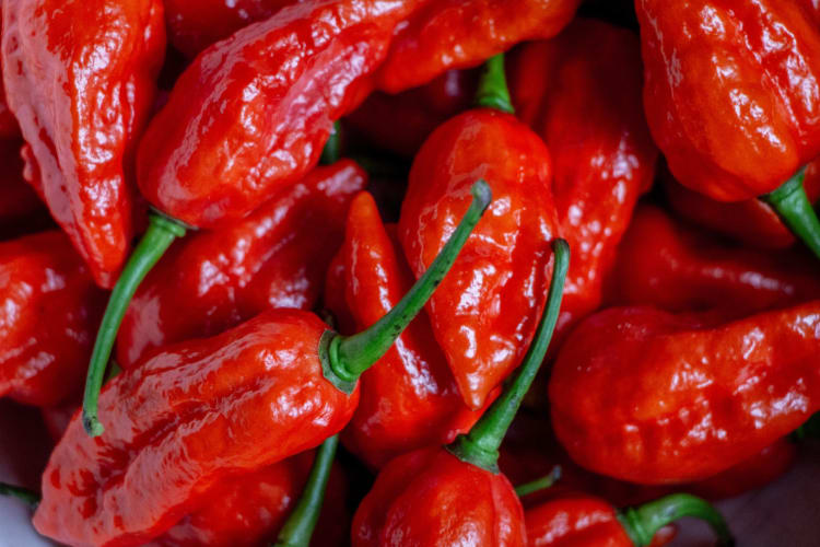 Carolina Reaper Peppers