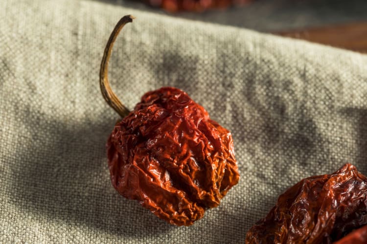 You may find dried peppers available at your local grocery store.