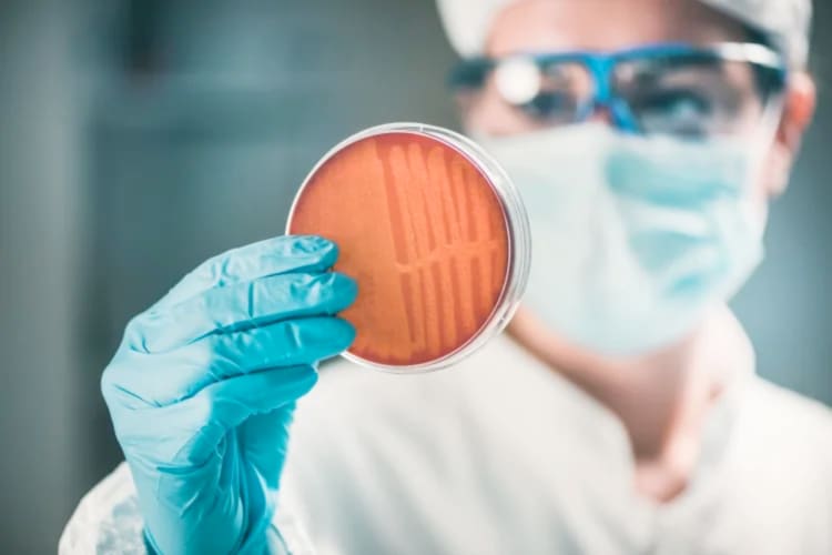 A person in a lab coat holding a petri dish