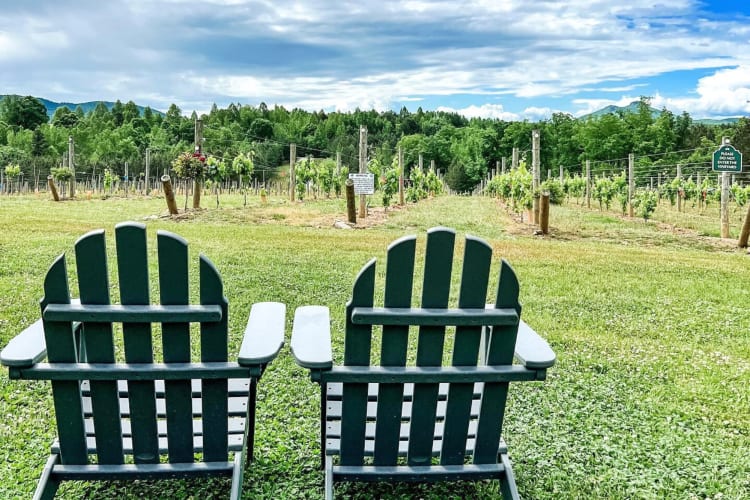 Going to a winery is one of the most romantic date ideas in Charlotte