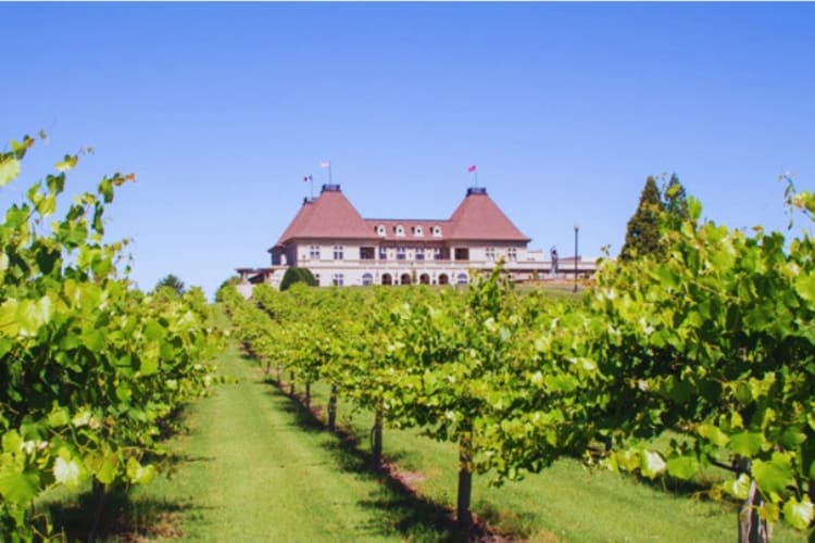 A green vineyard with an mansion-style home in the distance