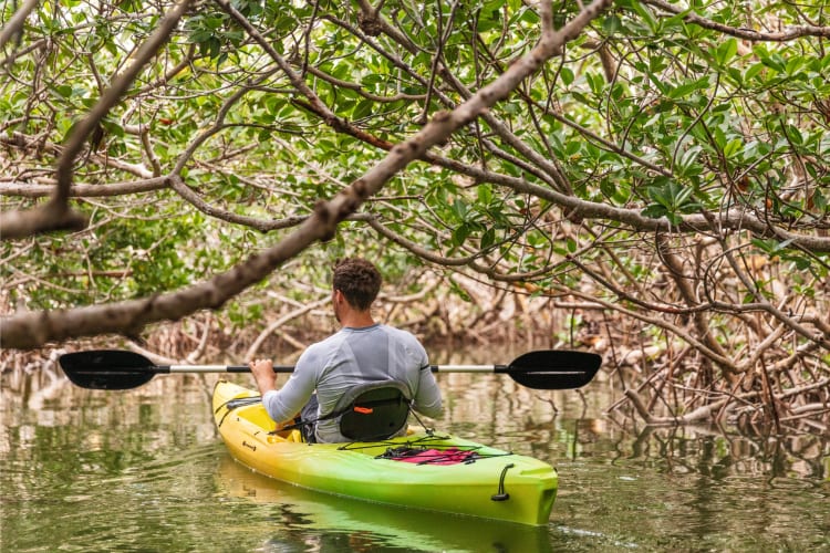 Kayaking is a very fun Chattanooga date idea 