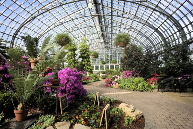 A conservatory with colorful plants