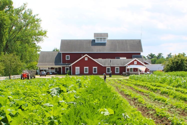 Exploring Historic Wagner Farm is a fun thing to do with family in Chicago